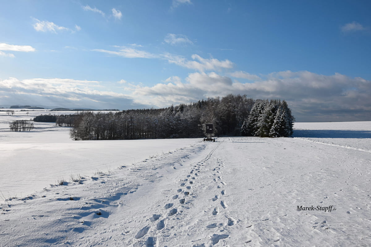 Das Erzgebirge im Winter