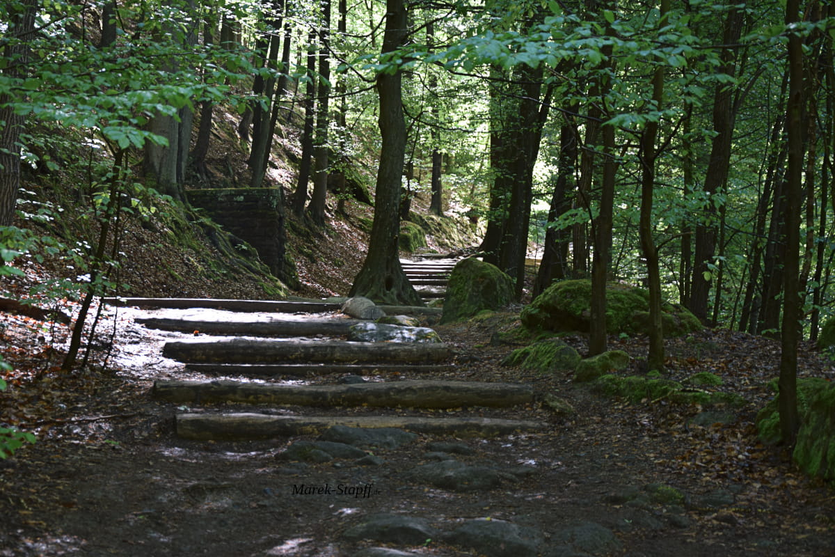 Wanderweg im Erzgebirge